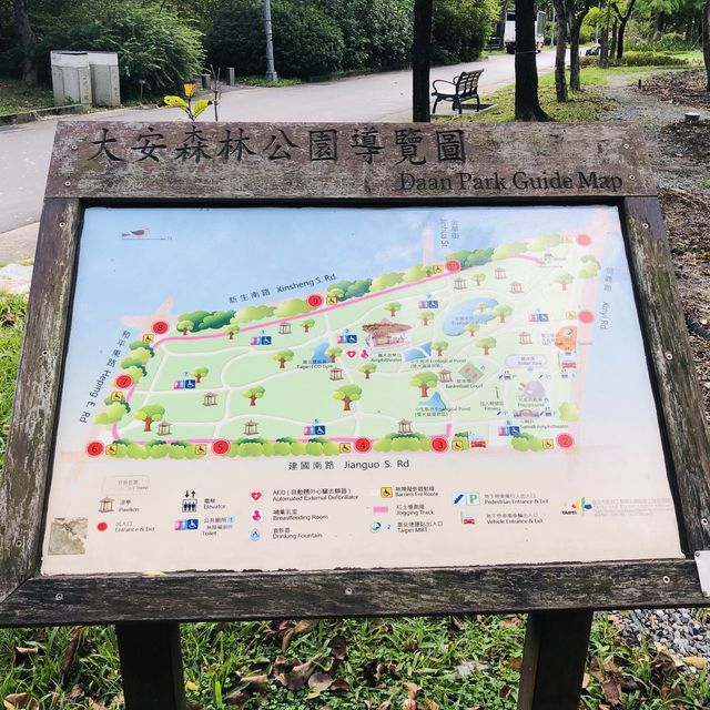 風光明媚🪷🌤Daan Forest Park 大安森林公園