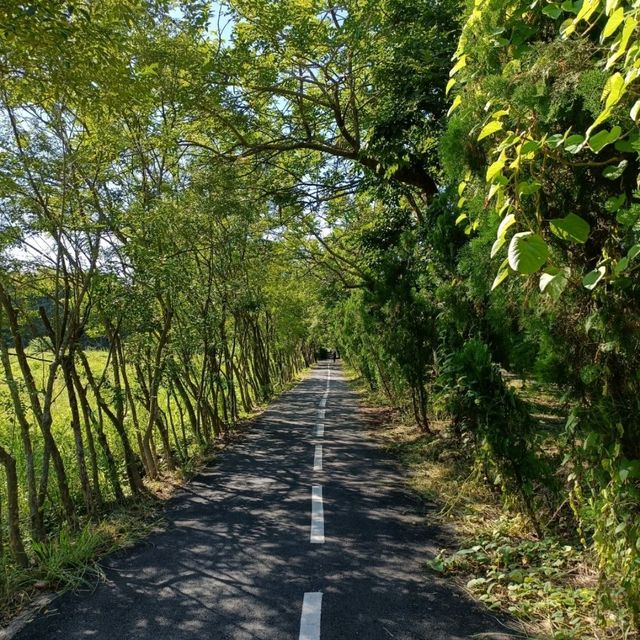 散步好所在