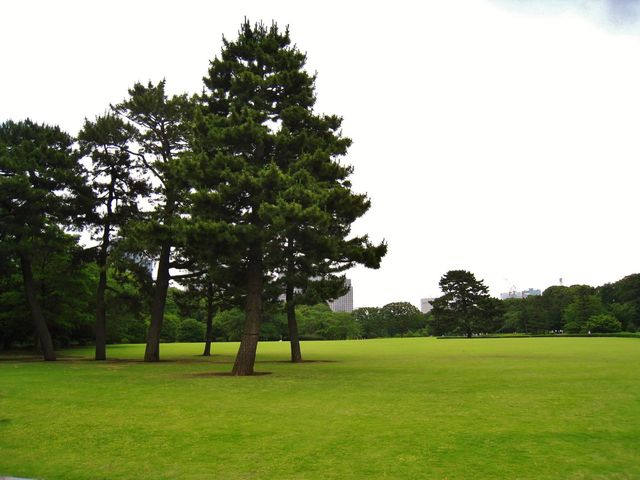 Japanese pavilion gardens