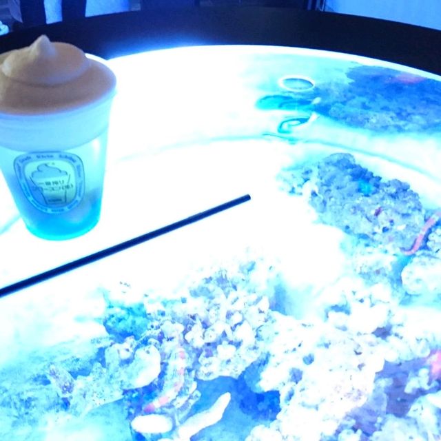 🌙✨夜もやってる水族館🐠