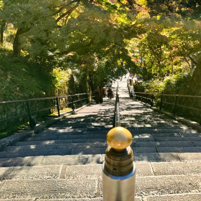 【京都 東山】音羽の滝