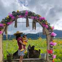 #D' Green Thumb Flower Garden. 