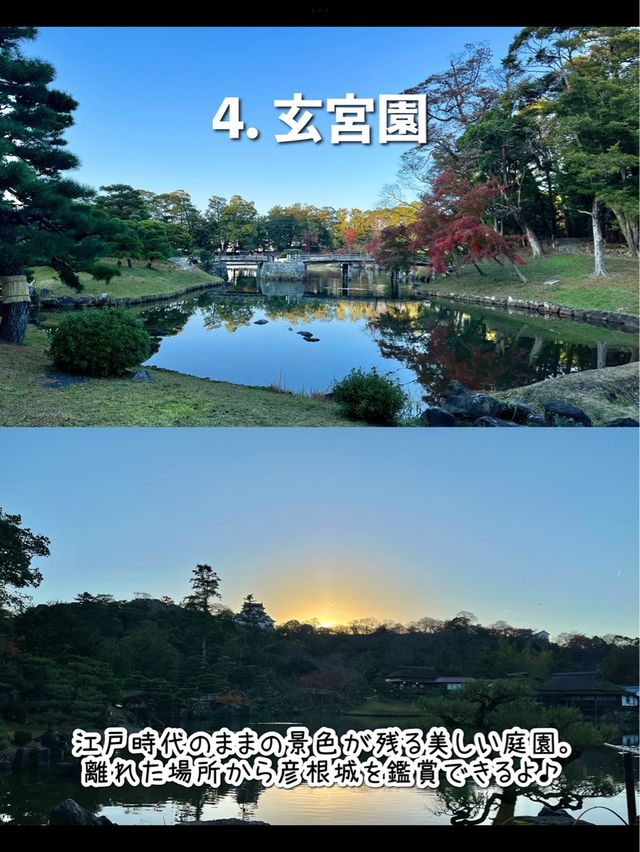 【滋賀】行ってよかった滋賀旅行！彦根おすすめ7選
