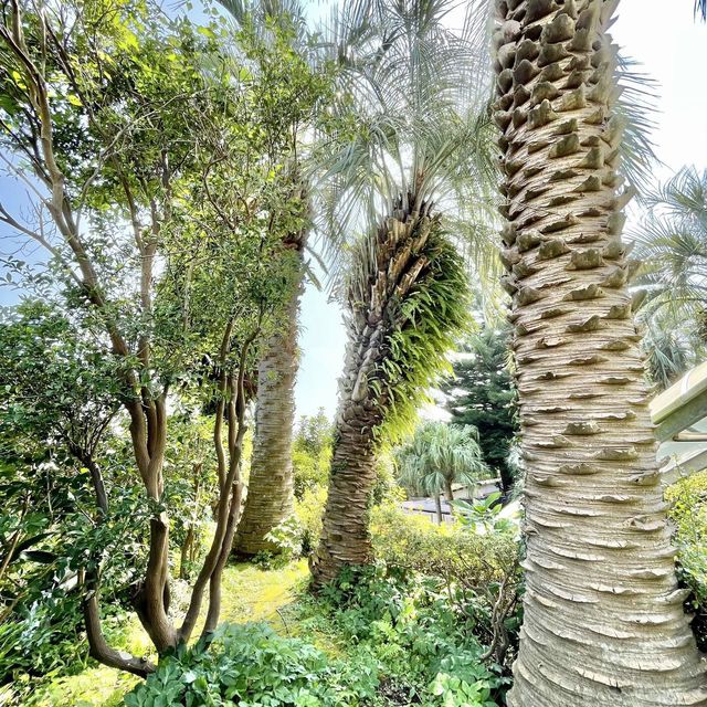ジャングル気分が楽しめる熱川バナナワニ園