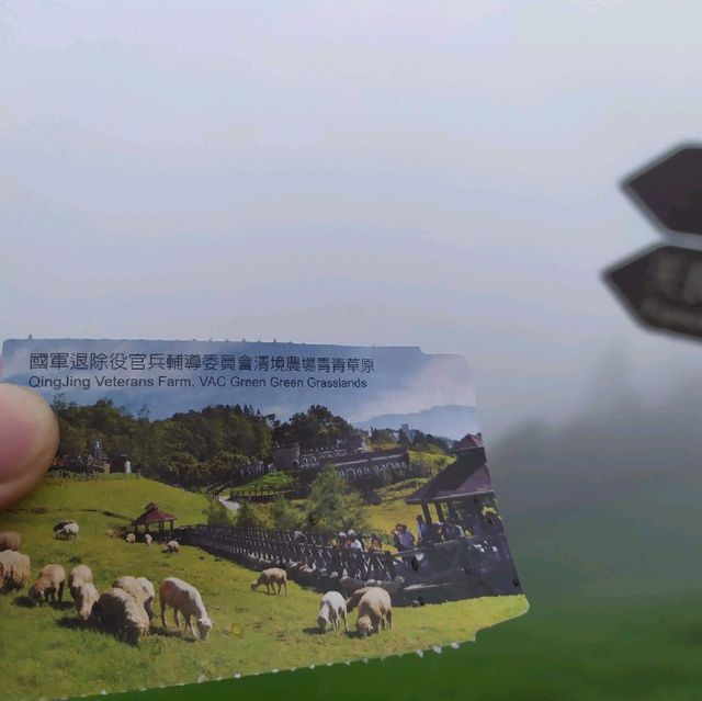 Cing Jing Farm Day Tour