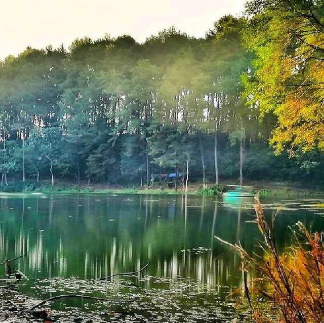 REMIS LAKE, WEST JAVA