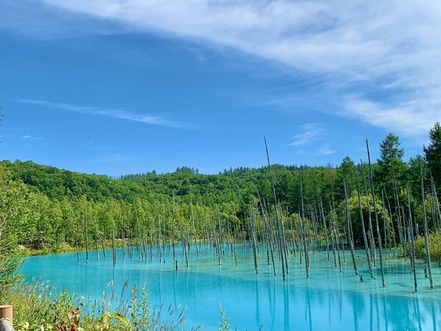 【北海道観光】北海道といえばココでしょ！？