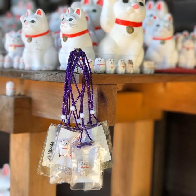 滿滿招財貓🐱日本必去豪徳寺