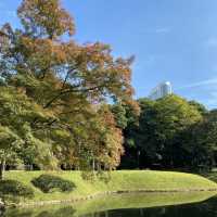 東京〝小石川後楽園〟