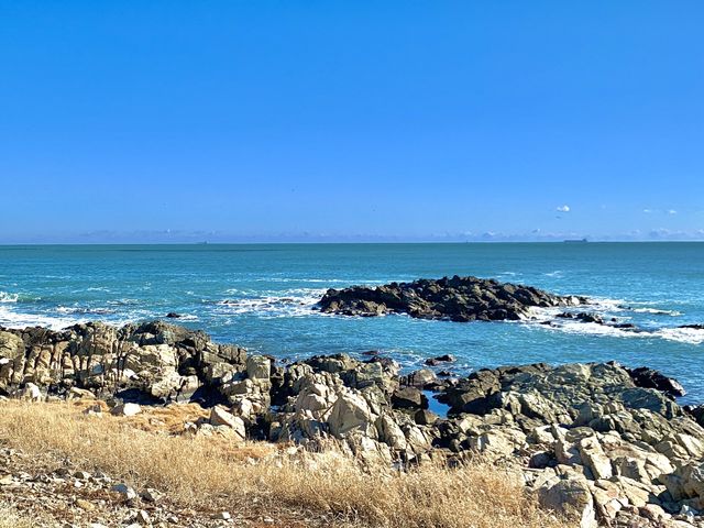 [🇰🇷, 부산] 기장의 오시리아 해안산책로 🌊