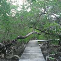 สถานีพัฒนาทรัพยากรป่าชายเลนที่ 4 เกาะช้าง