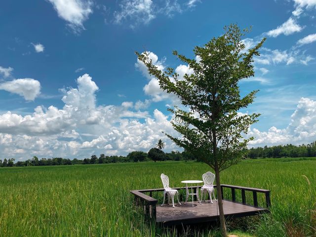 คาเฟ่ธรรมชาติ นอนนาคาเฟ่