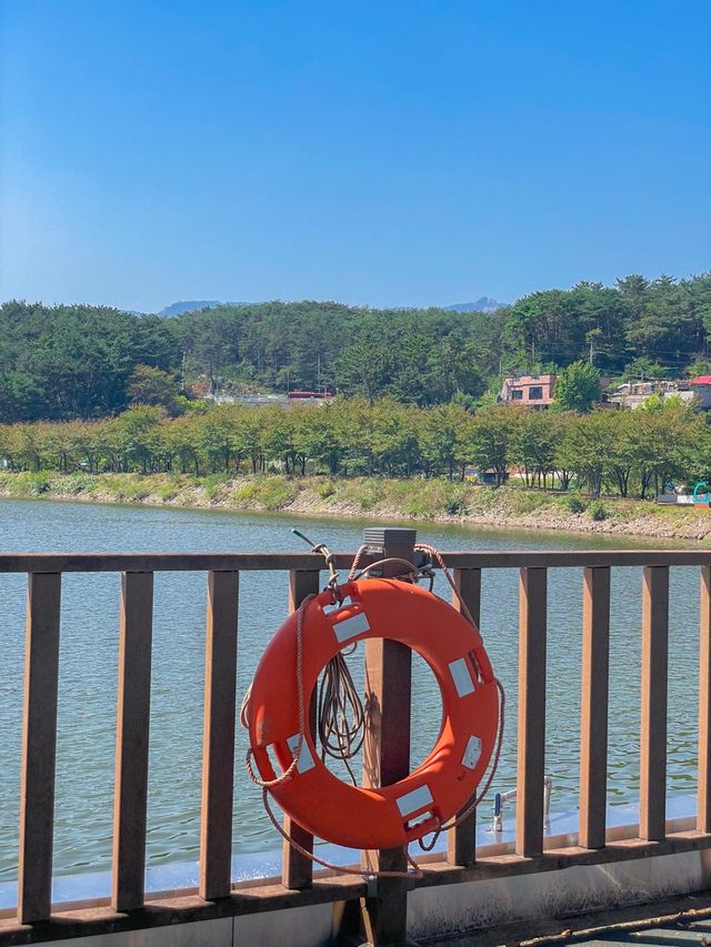 부산 봄맞이 여행명소 “금정 회동호 둘레길” 🌸
