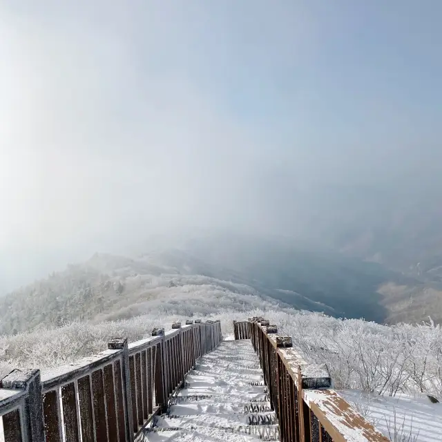 눈꽃산행