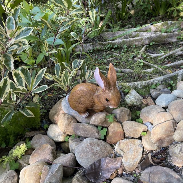 超靚秘密賞櫻花園