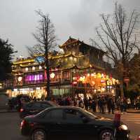 Motherland of Pandas - Chengdu 