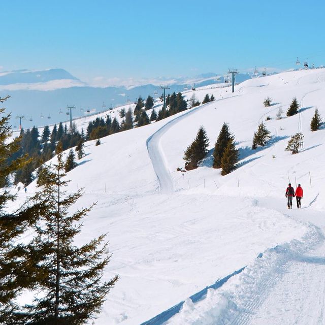 登上海拔2050米欣賞阿爾卑斯山雪景