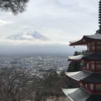 ［新倉富士淺澗神社］- 跟富士山互相輝映🗻