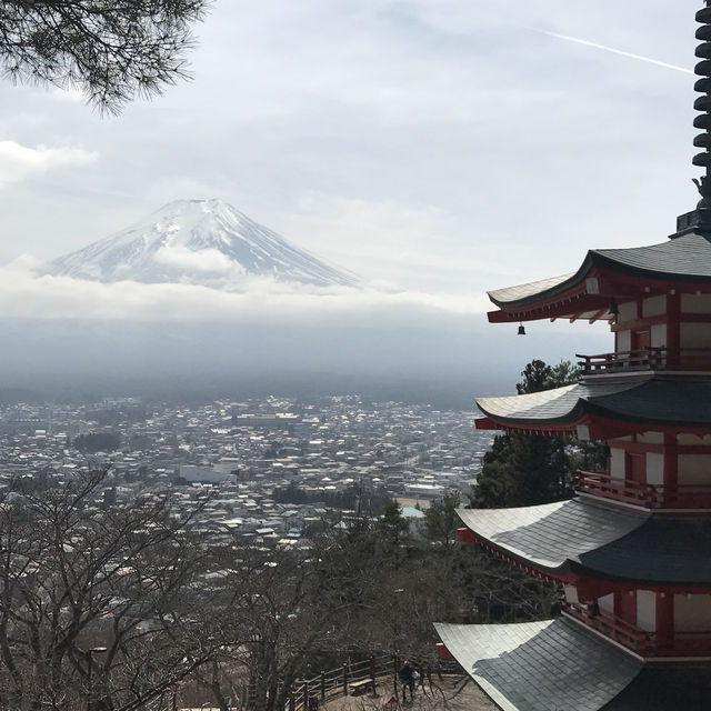 ［新倉富士淺澗神社］- 跟富士山互相輝映🗻