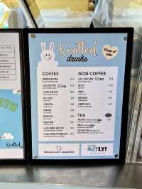 제주에서 난리난 도넛🍩 노티드‼️