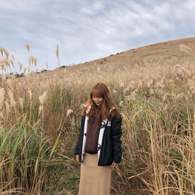 제주도 억새 명소 “새별오름”