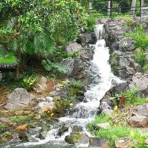 北區公園都可以影得好靚