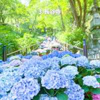 旅とこチョイス！奈良旅行7選