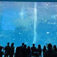 X Park 水族管 