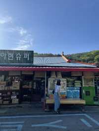 바로 지금, 여행 : 전주 2521 촬영지 투어