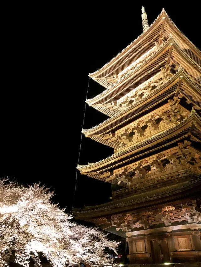 京都で紅葉や桜を見るなら東寺