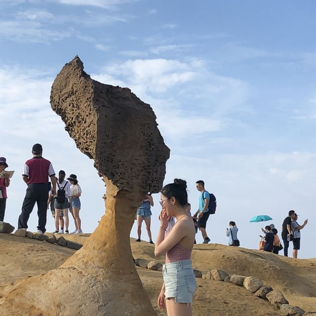 여왕머리바위를 볼 수 있는 대만 예류지질공원 