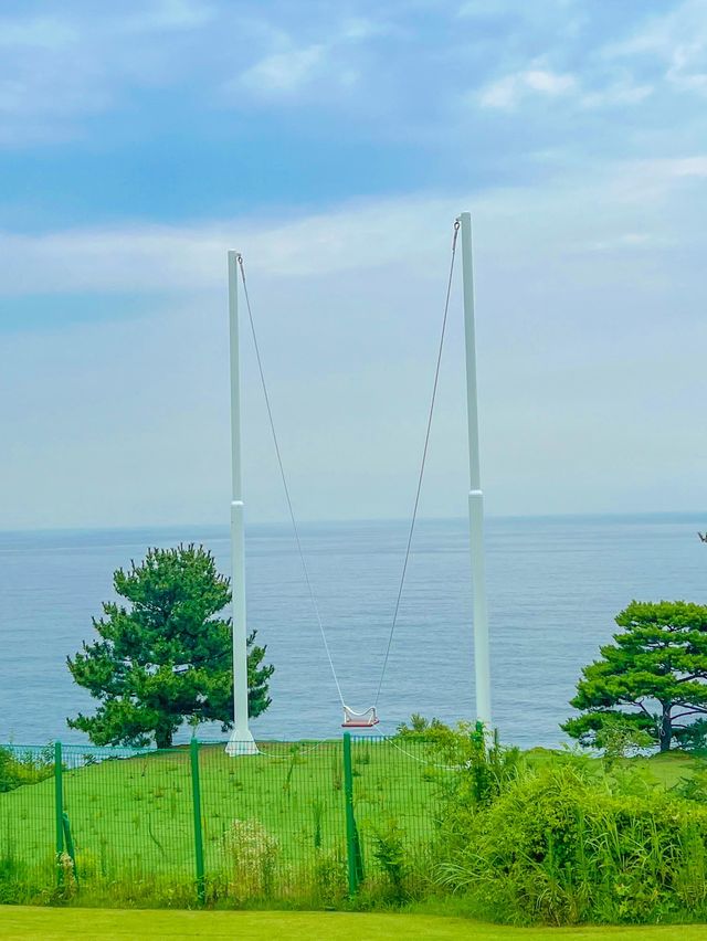 크루즈가 멋있는 정동진 썬크루즈 호텔🛳