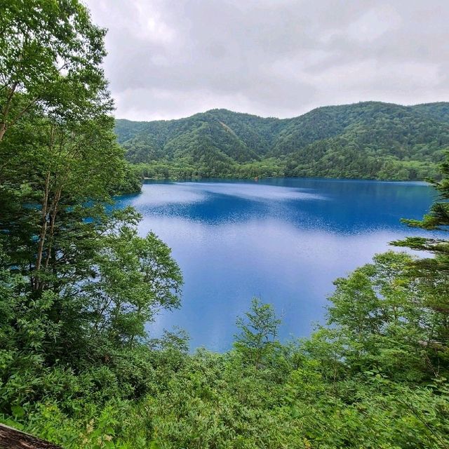 【長野】志賀高原の中の神秘的な群青の池【大沼池】