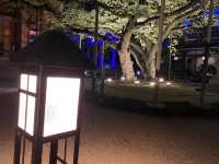 博多旧市街ライトアップウォーク2022「博多千年煌夜」『東長寺』