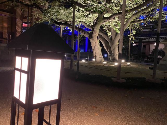 博多旧市街ライトアップウォーク2022「博多千年煌夜」『東長寺』