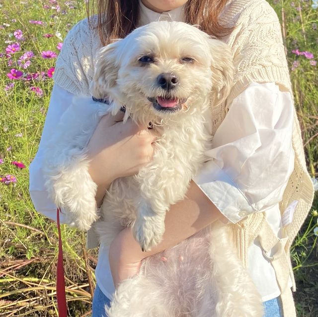 【立川 昭和記念公園】春夏秋冬いつでも楽しめる大規模な公園！