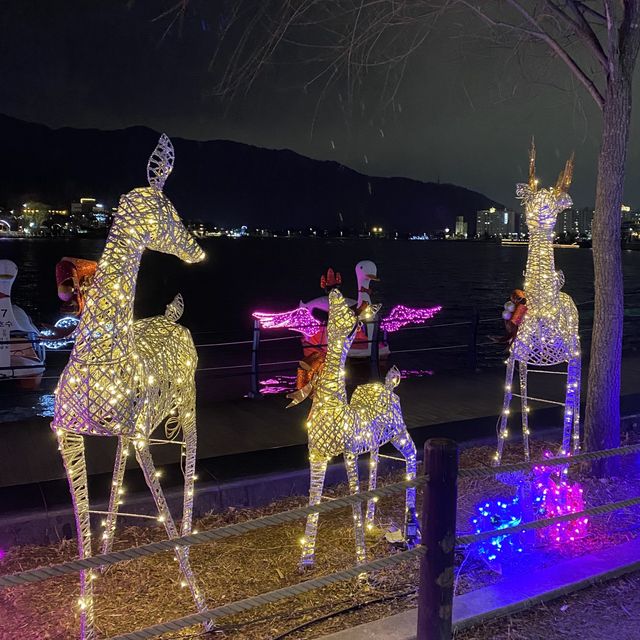 [대구] 수성못, 수성빛예술제