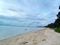 Picnic อาหารทะเล หาดบางเสร่ ช่วง Covid ชลบุรี
