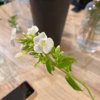 週末約上朋友仔去學插花.陶冶性情.PURICRAFT