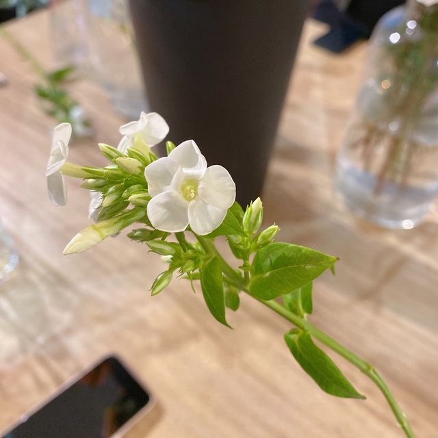 週末約上朋友仔去學插花.陶冶性情.PURICRAFT