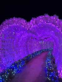 파주의 아름다운 볼거리 :: 퍼스트가든