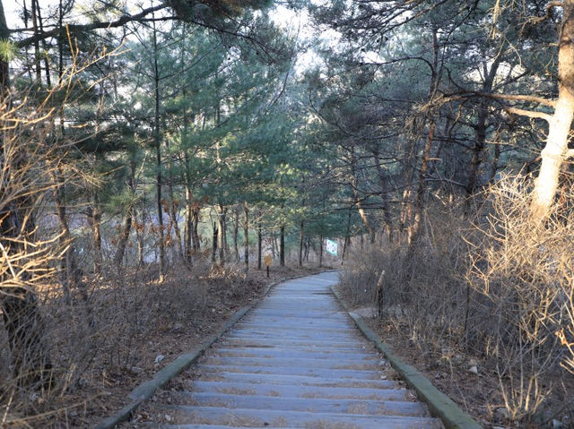 예천 회룡포전망대 물돌이마을 볼수 있어요