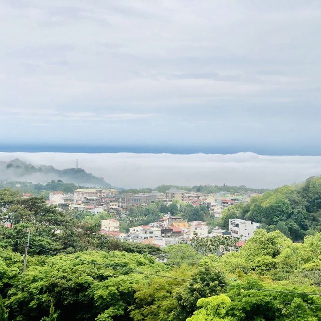 好山好水的南投鹿谷·阿東窯烤雞～30年獨家口味！流口水的美味～