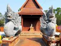 คำชโนดแค่เอื้อม วัดป่าคลอง11