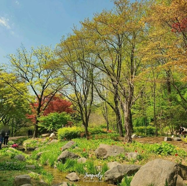 4월의 야생화 , 보러가실래요.