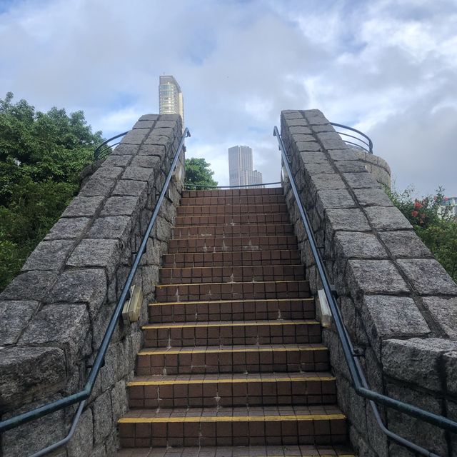 公園都有個打卡瞭望台😎