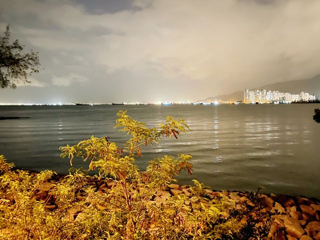 夜遊海豚廣場