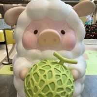 夏日·動物 · Lu Lu 豬🐷🫶🏻
