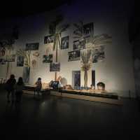 Borneo Cultures Museum ~ Kuching