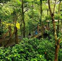 Jurong Bird Park